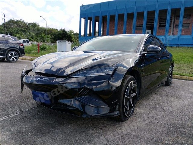 Byd 2023 em leilao em Brasil