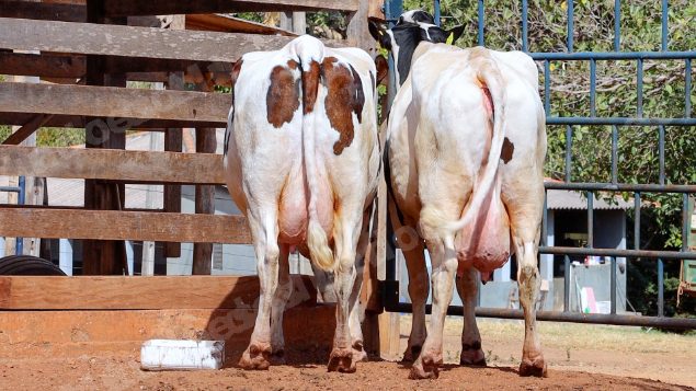 Lote em leilao em Cristalina/GO