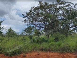 Terreno em leilão em Caetanópolis/MG - Lote 54