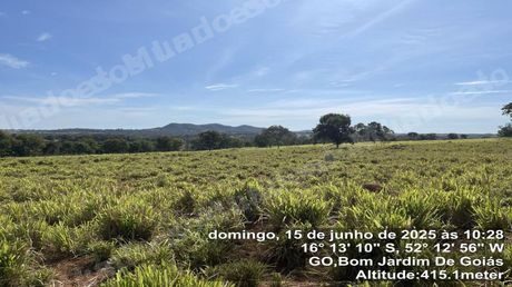 Terreno em leilao em Bom Jardim de Goias/GO