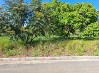 Terreno em leilão em Monte/MG - Lote 5