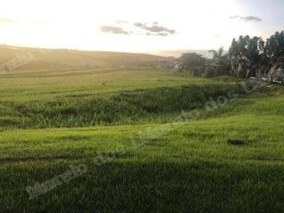Casa de 1400 m2 em leilão em Sertanópolis/PR