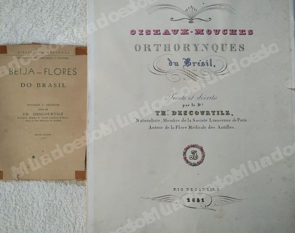 Item de coleção em leilão em Brasil - Lote 10