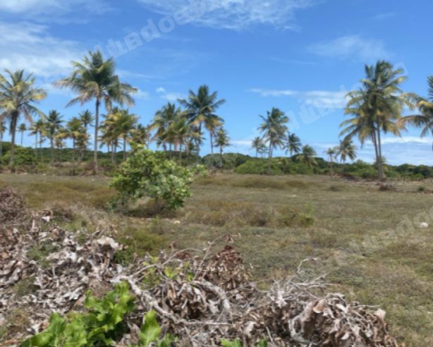 Terreno em leilao em Itaporanga D'ajuda/SE