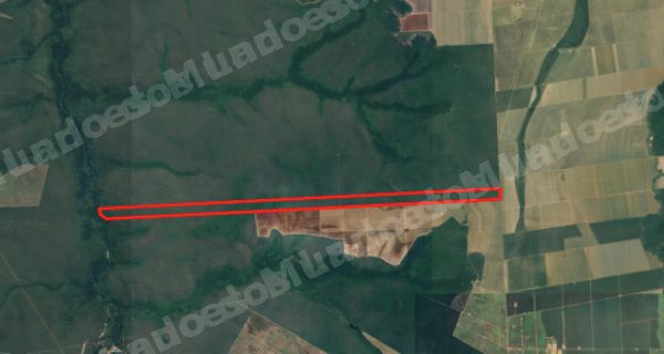 Imóvel rural em leilão em Campo Novo do Parecis/MT