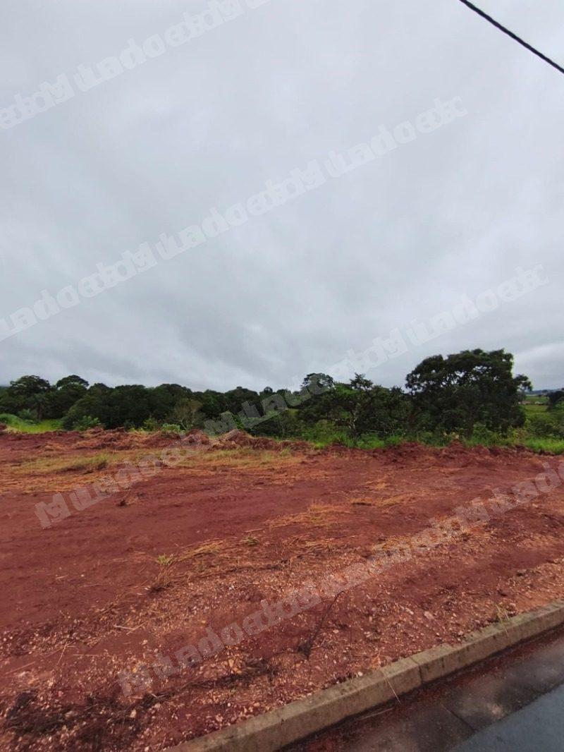 Terreno em leilao em Guimarânia/MG