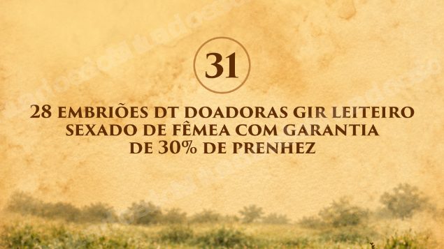 Lote em leilão em Cachoeira de Macacu/RJ - Lote 15