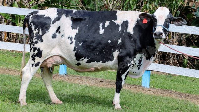 Lote em leilao em Silveiras/SP