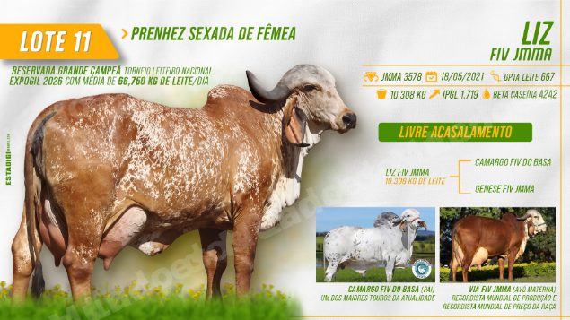 Imóvel em leilão em Jales/SP - Lote 2