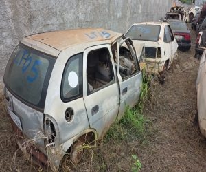 Lote em leilao em Brasil