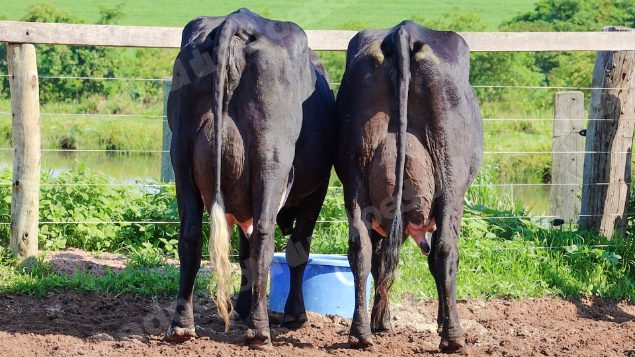 Lote em leilão em Jataí/GO - Lote 18