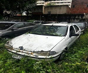 Fiat em leilao em Brasil