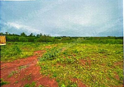 Terreno em leilao em São Luiz Gonzaga/RS
