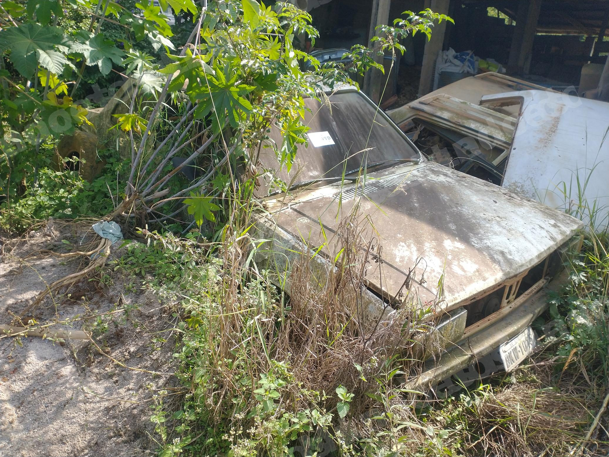 Vw em leilao em Brasil