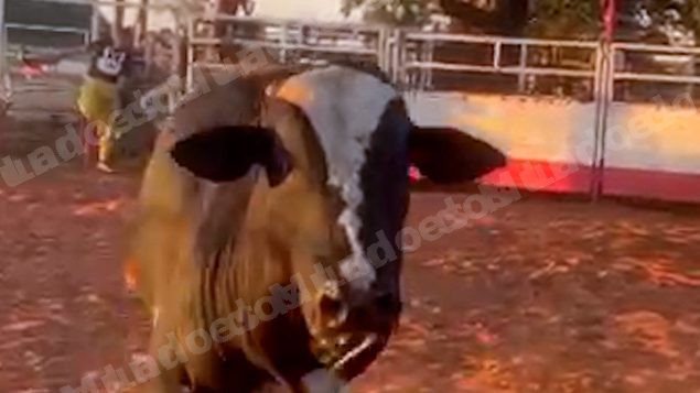 Lote em leilao em Sabino/SP