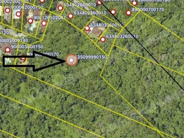 Terreno em leilao em Ilhabela/SP
