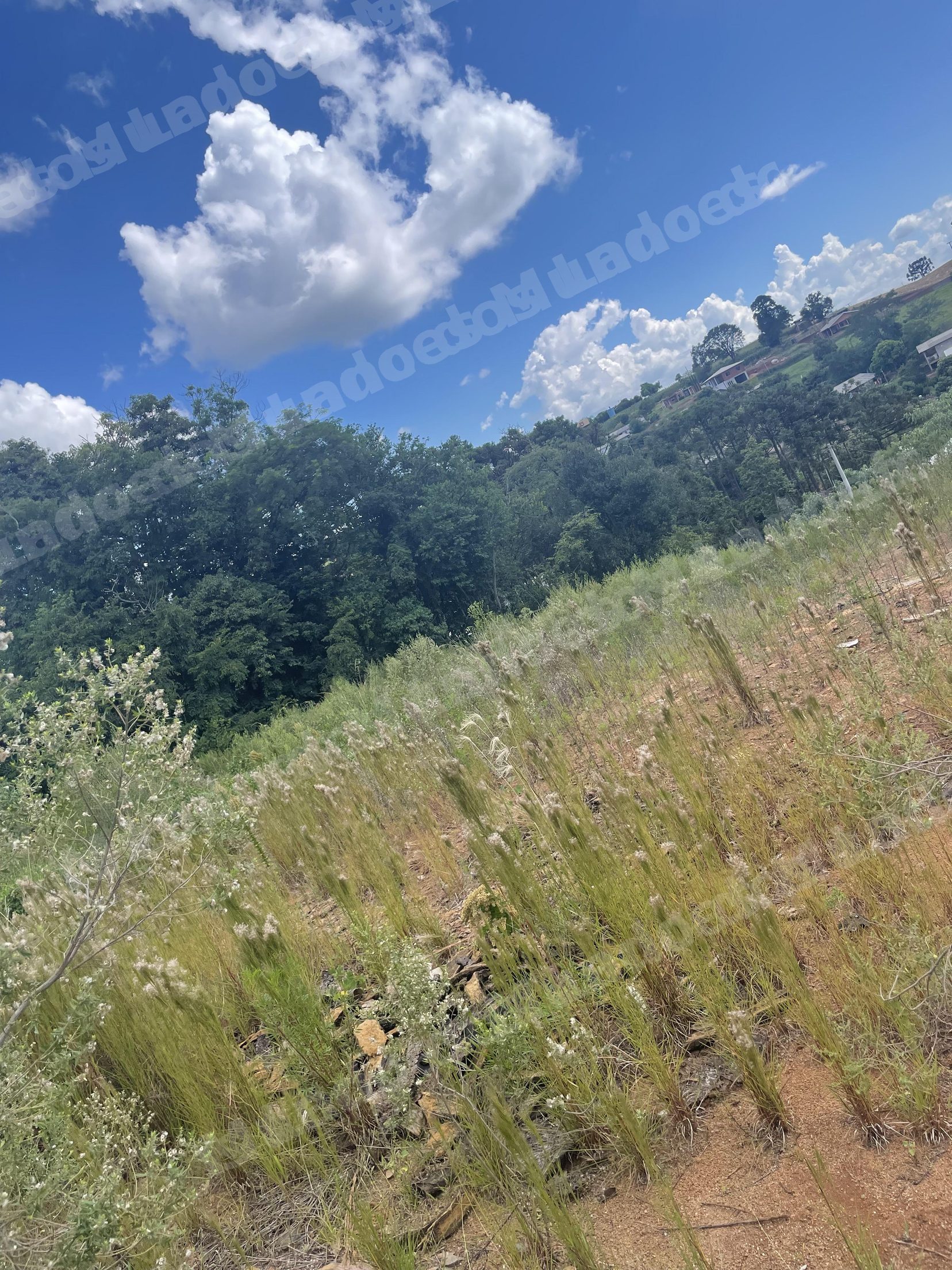Terreno em leilao em Sananduva/RS