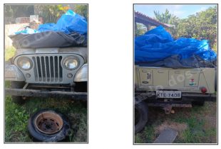 Ford Jeep 1975 em leilao em Brasil