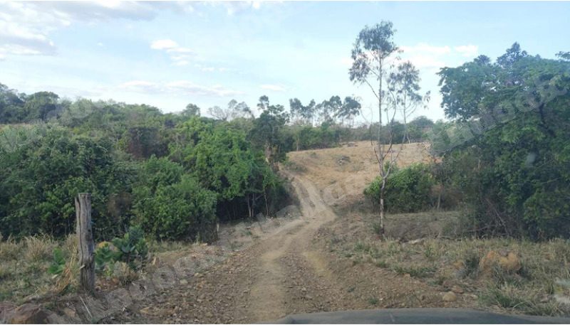 Imovel rural em leilao em Fazenda Folhados Em Patrocínio/MG