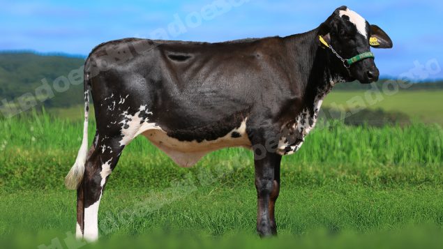 Lote em leilao em Estrela do Indaiá/MG - Lote 7