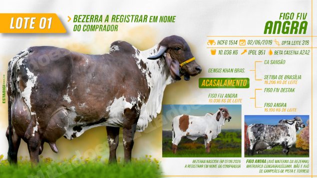 Lote em leilão em Jales/SP - Lote 11