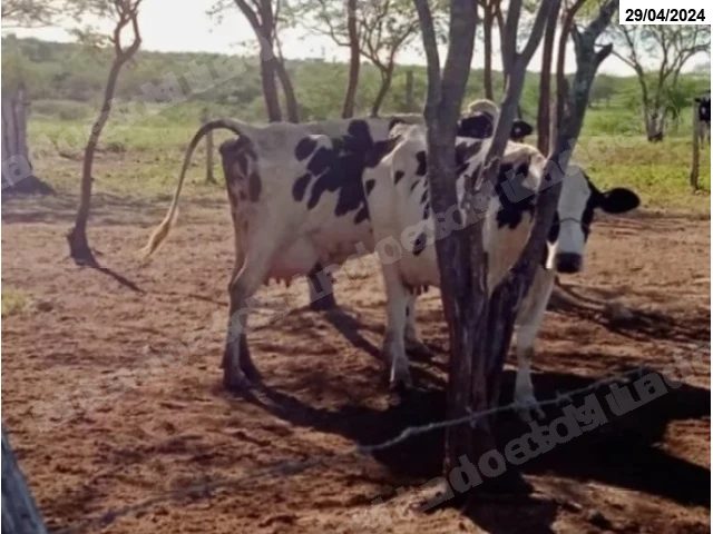 Terreno em leilão em Taíba/PE