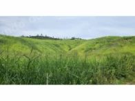 Imovel rural em leilao em Ituêta/MG