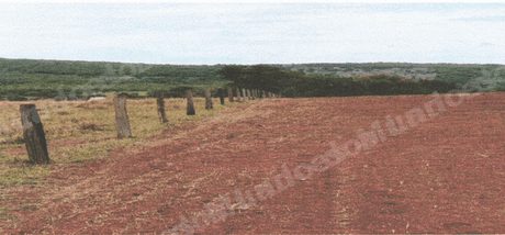 Imovel rural em leilao em Piranhas/GO