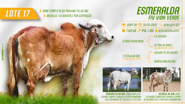Joias e relógios em leilão em Jales/SP
