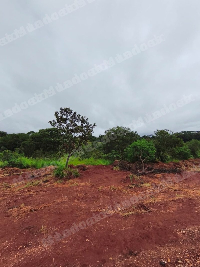 Terreno em leilao em Guimarânia/MG