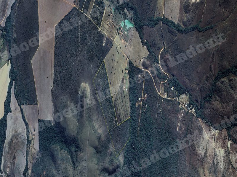 Terreno em leilao em As Condições Aplicáveis À Aquisição/GO