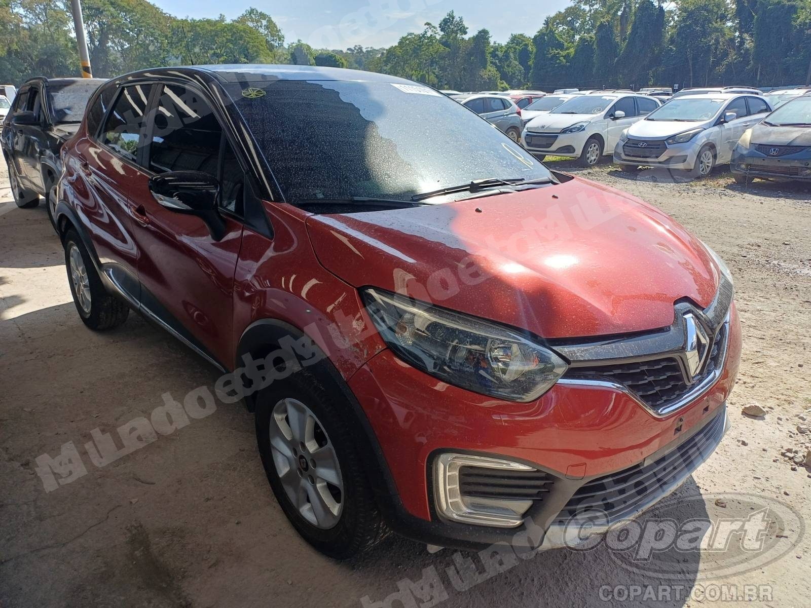 Lote em leilao em Embú das Artes/SP