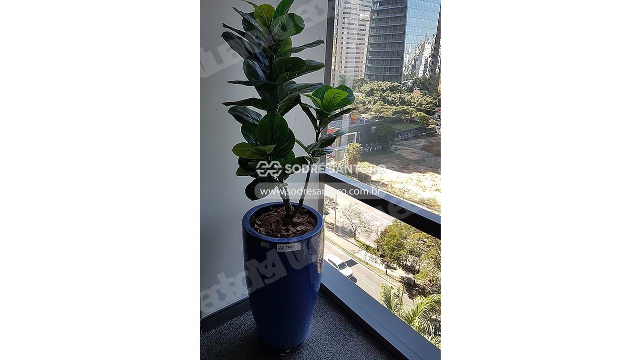 Terreno em leilao em São Paulo/SP