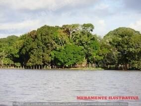 Terreno em leilao em Tracuateua/PA
