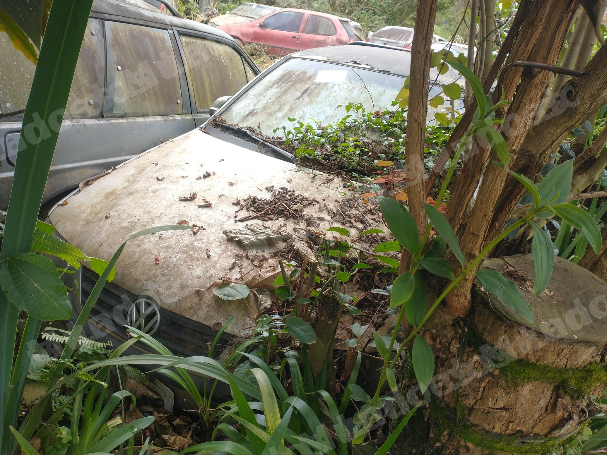 Vw em leilao em Brasil