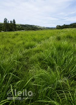 Terreno em leilao em Bela Vista de Goiás/GO
