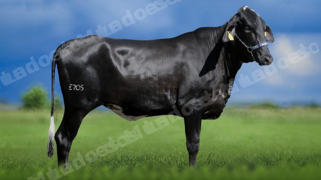 Lote em leilao em Igaratinga/MG - Lote 14