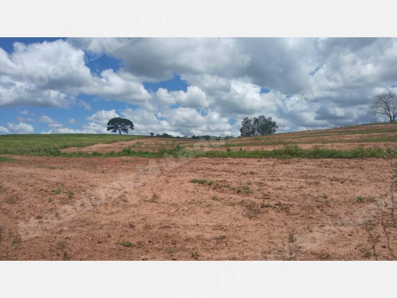 Terreno em leilao em Araruna/PR