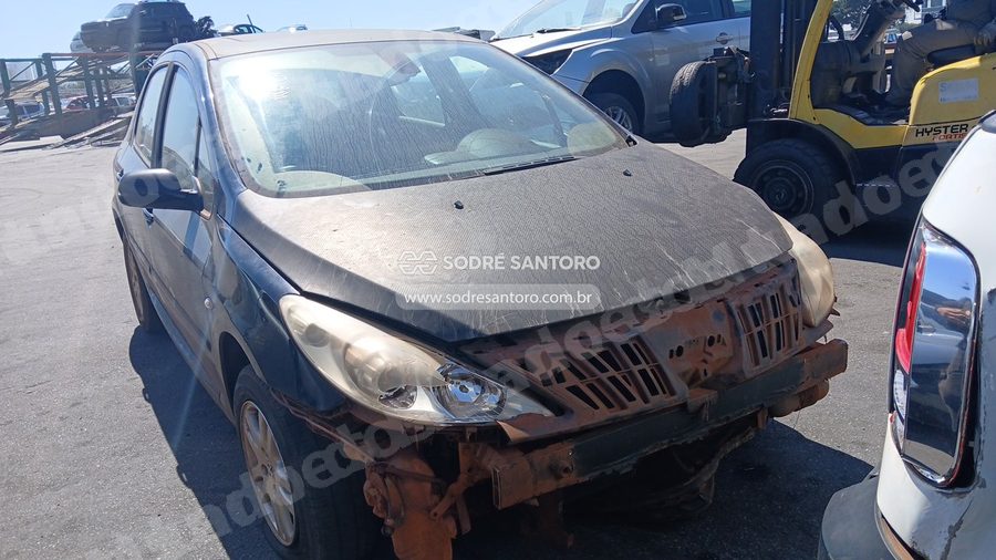 Peugeot 307 20S A Grif 2007 em leilão em Guarulhos/SP