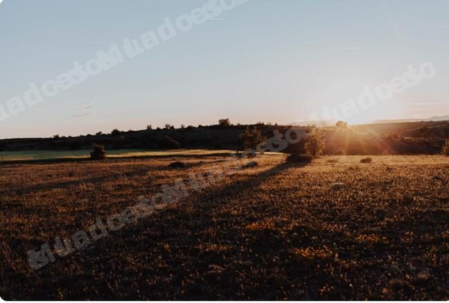 Imovel rural em leilao em Brasil