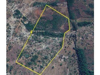 Imovel rural em leilao em Sítio Novo/MA