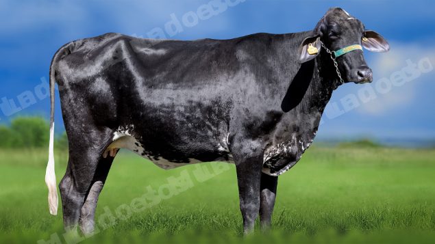 Lote em leilao em Miradouro/MG