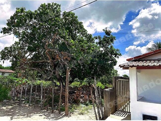 Casa de 55 m2 em leilão em Tangará/RN - Lote 1