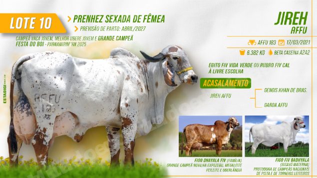 Lote em leilão em Jales/SP - Lote 12