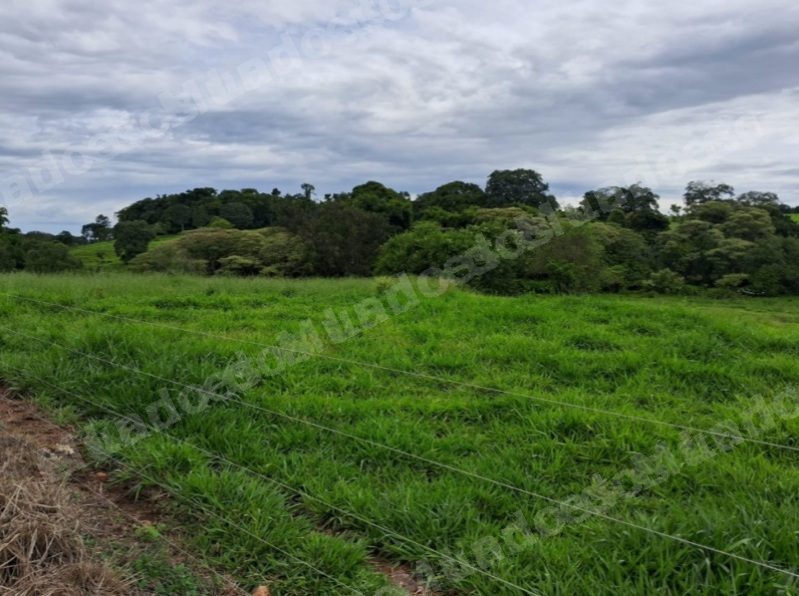 Terreno em leilão em Brasil - Lote 90