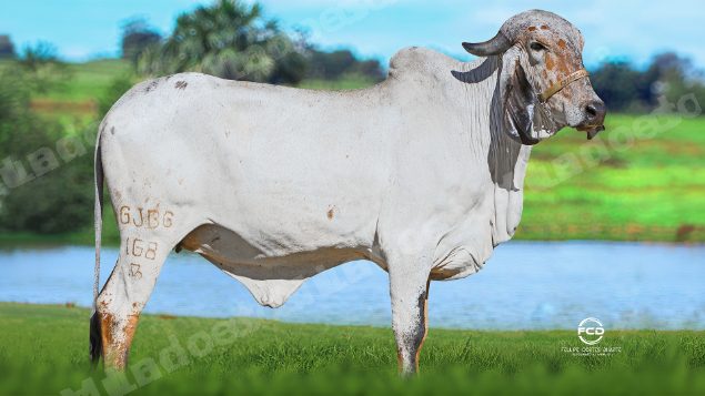 Lote em leilao em Bicas/MG