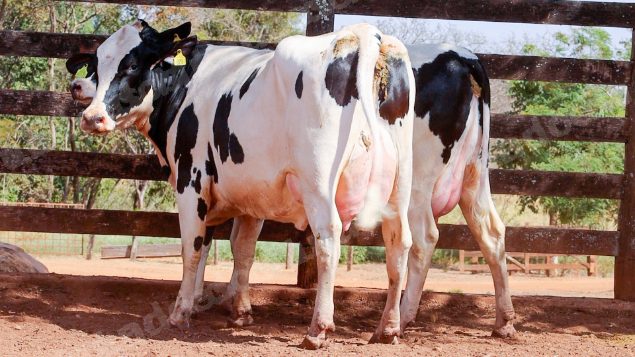 Lote em leilao em Cristalina/GO
