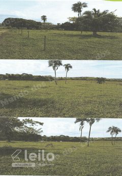 Terreno em leilao em Iporá/GO