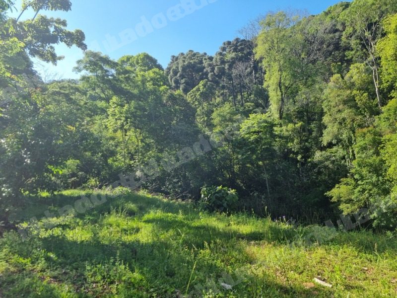 Imovel em leilao em Brasil