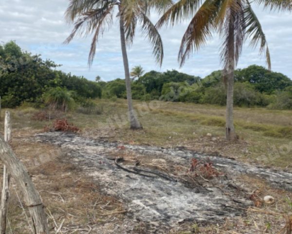 Terreno de 300 m2 em leilao em Itaporanga D'ajuda/SE